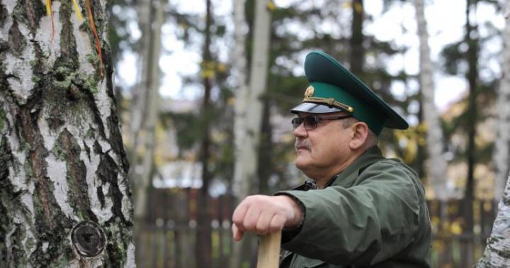 Koľko peňazí zarobí lesník v Rusku a na iných miestach?