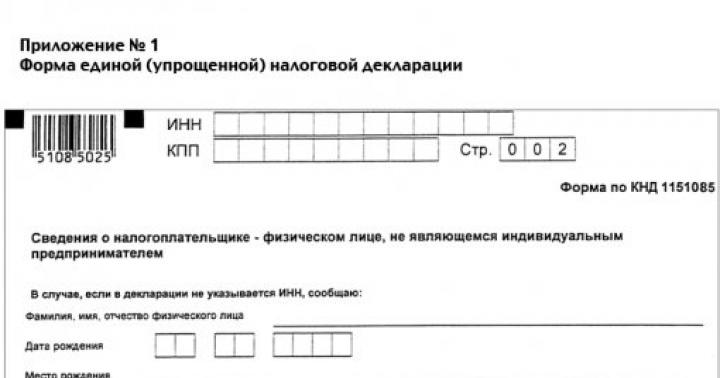 Единая упрощенная декларация – кто сдает и правила заполнения